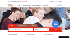 Desktop Screenshot of bijlesnetwerk.nl